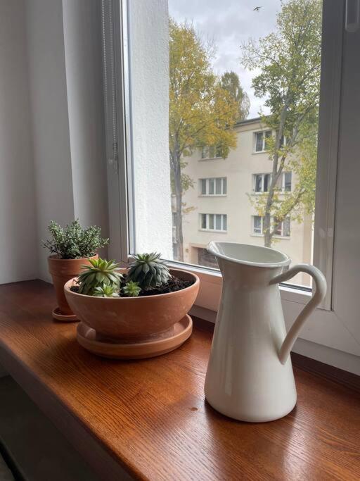 华沙Cozy, Bright, Comfy Studio Next To The Old Town.公寓 外观 照片